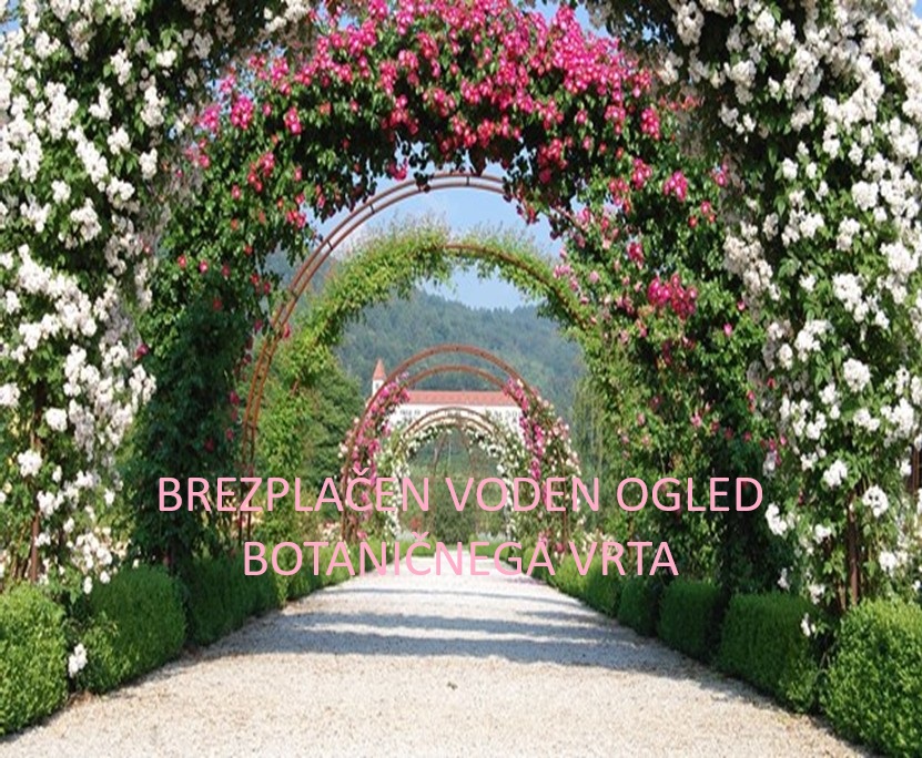 Slika_Brezplačen_Ogled_Botaničnega_vrta